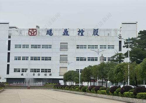 直擊股東大會(huì)丨鵬鼎控股董事長(zhǎng)沈慶芳 單一大客戶占比超50%是結(jié)果 核心是滿足客戶需求并持續(xù)拓展